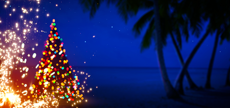 Planear Navidad en Puerto Vallarta