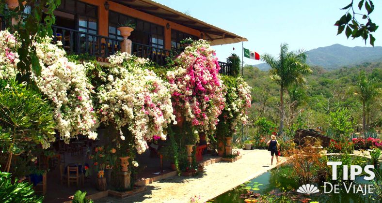 Conoce el encantador Jardín Botánico en Puerto Vallarta