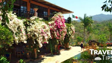Meet the charming Botanical Garden in Puerto Vallarta